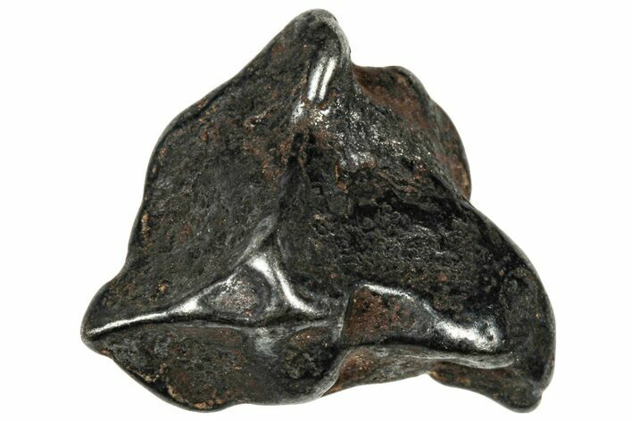 Agoudal Iron Meteorite ( g) - Morocco #303927